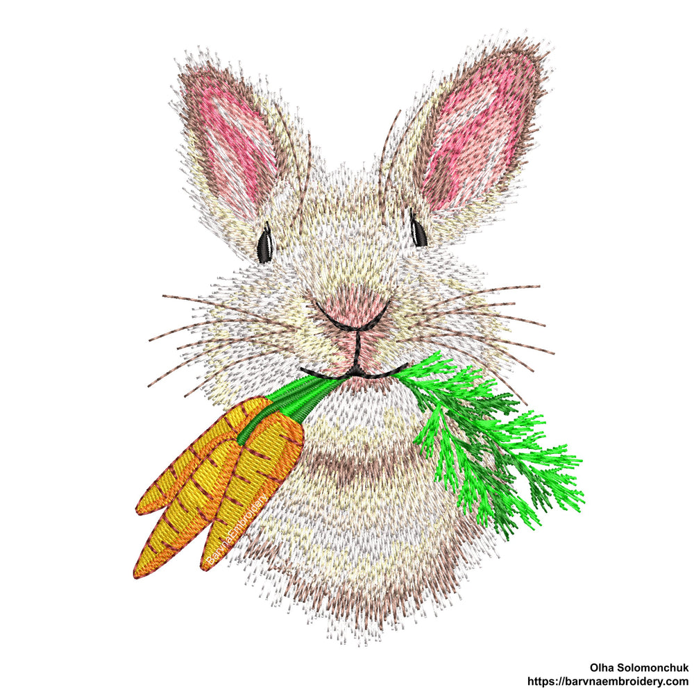 Bunny Machine embroidery designs, Rabbit embroidery designs,  Bunny with a carrots embroidery files, Instant download