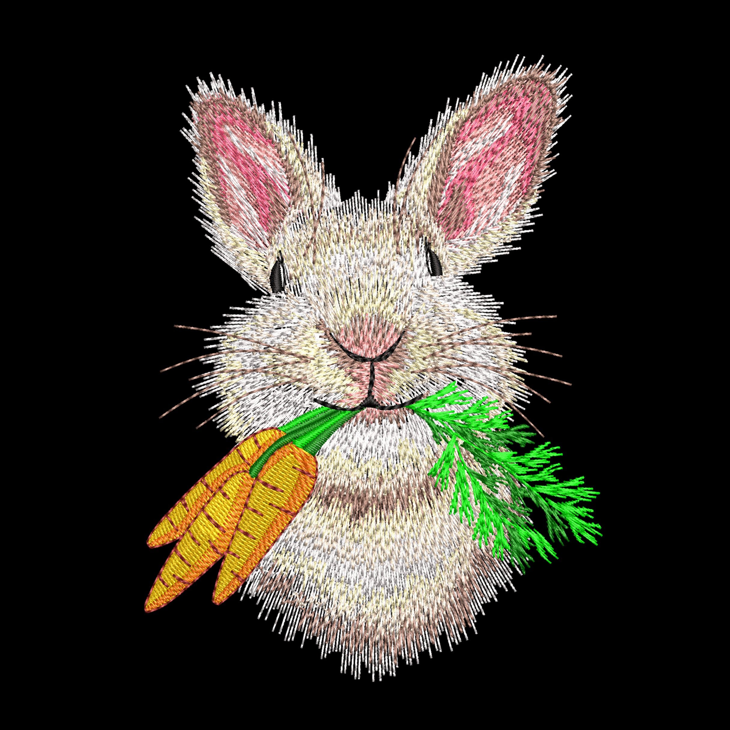 Bunny Machine embroidery designs, Bunny with a carrots embroidery files, Instant download