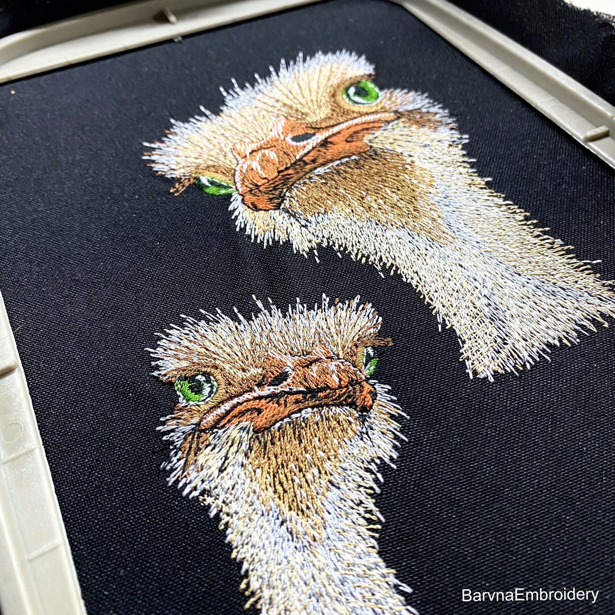 Ostrich Machine embroidery designs, Ostrich embroidery files, Instant download, Machine embroidery designs, Embroidery files for machine