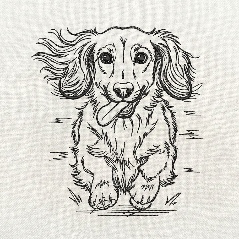 Long haired dachshund running front view line art embroidery file.