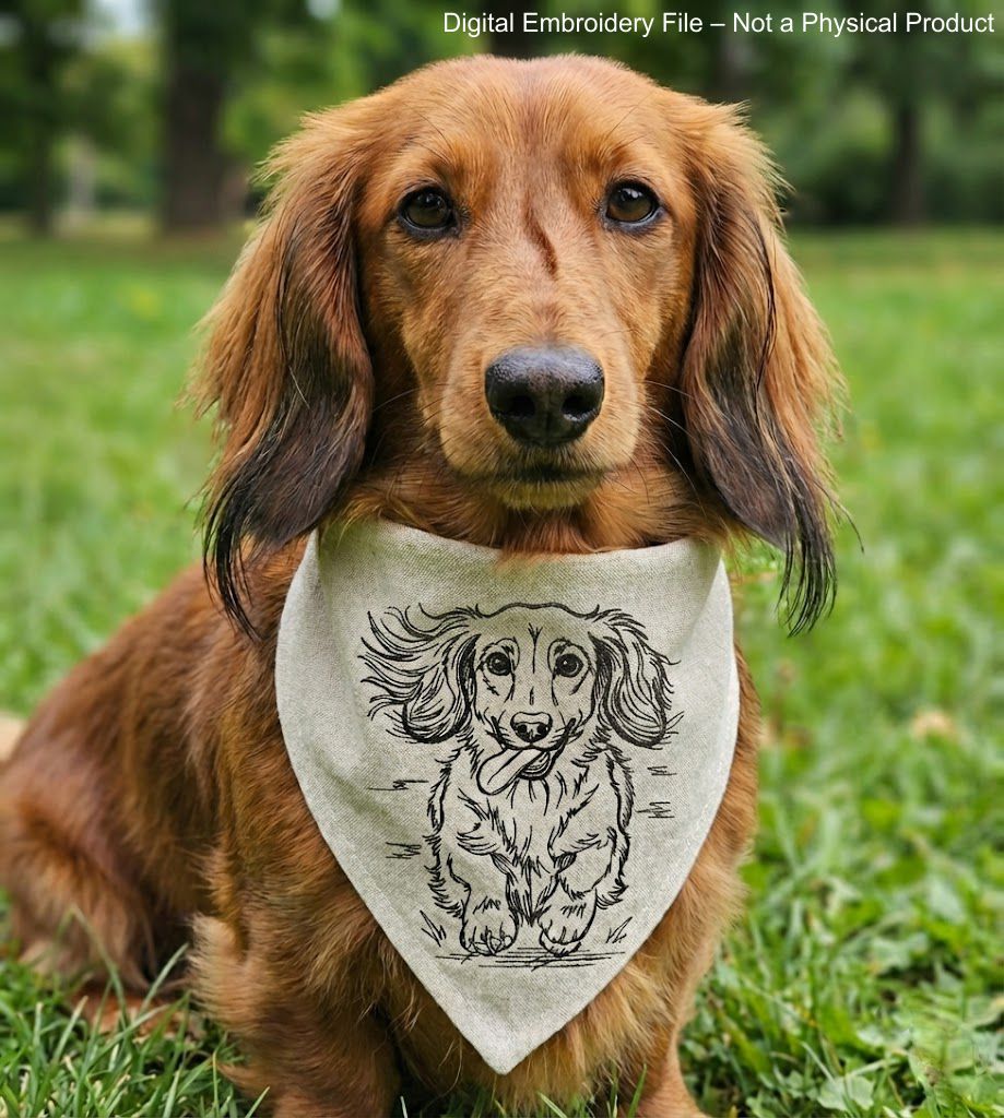 Long haired dachshund running front view line art embroidery file.