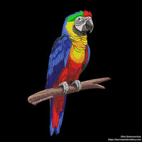 Colorful macaw parrot machine embroidery design sitting on a branch, digital file for embroidery machines.