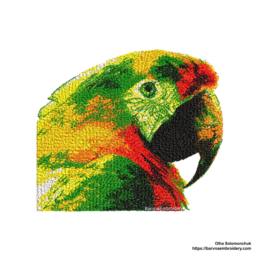 Parrot embroidery design, Birds embroidery design for machine, instant download