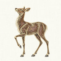 Full fill doe deer embroidery design on cream, with a lifted head and detailed brown fur.